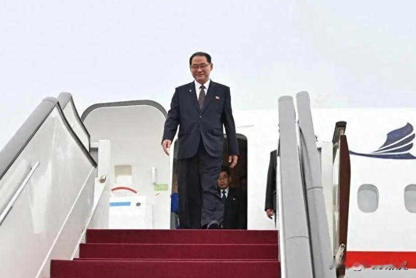 成了，朝鲜邀请中国出访。7月14日，中国正式宣布，应朝鲜邀请，中国党政代表团