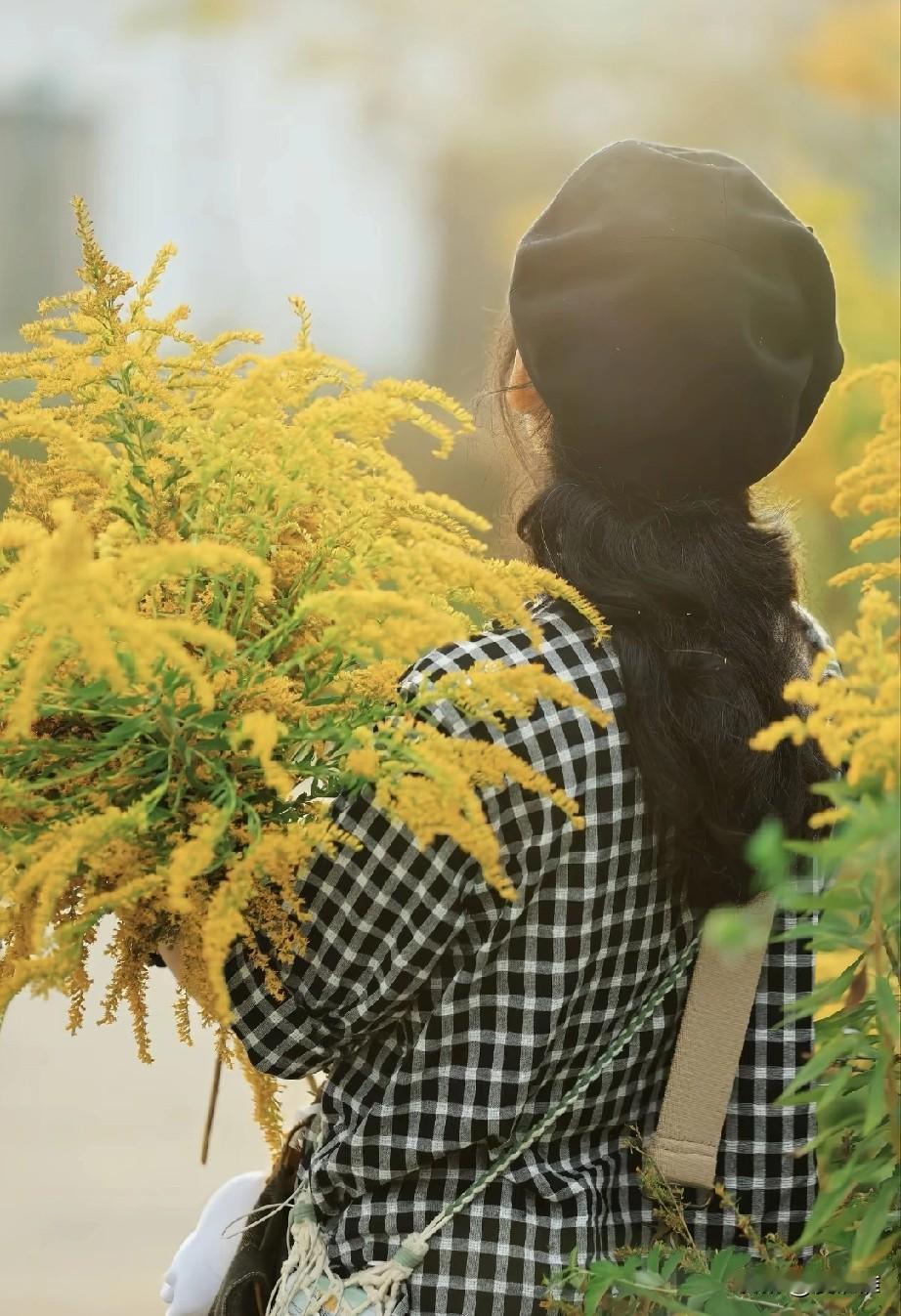 这种漂亮的黄花是外国的一种入侵植物，一株可以长一片，药不死烧不死，破坏力很强。曾