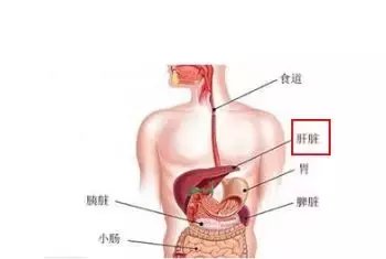 最伤肝的事, 竟然不是吃, 很多人都在干…