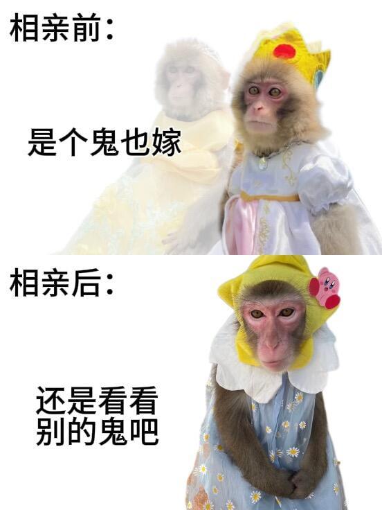 当代年轻人相亲前🆚相亲后变化❗