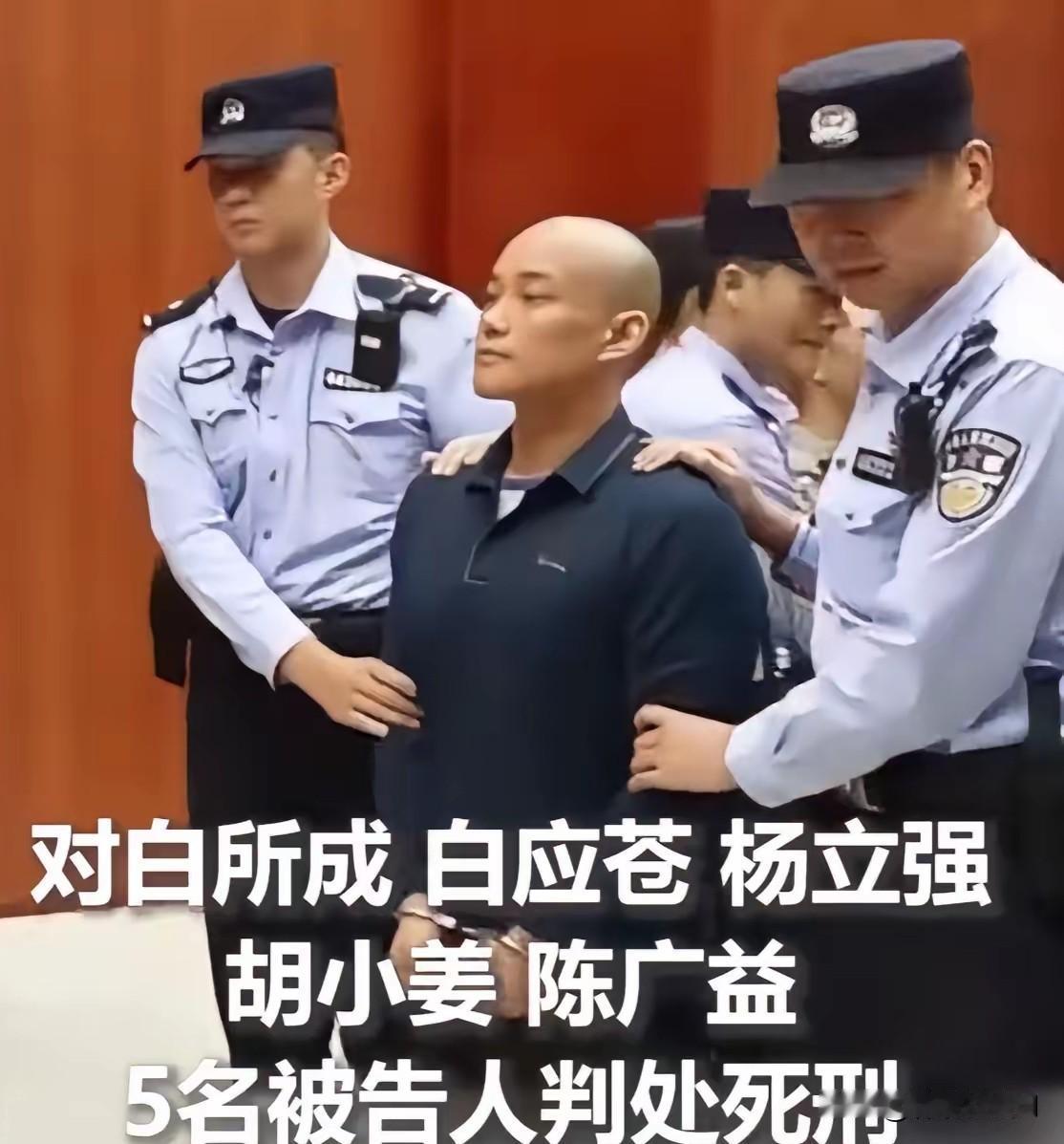 太嚣张！白应苍在听对自己宣判死刑的时候，虽然双手戴着手铐被法警控制，他竟然故作镇