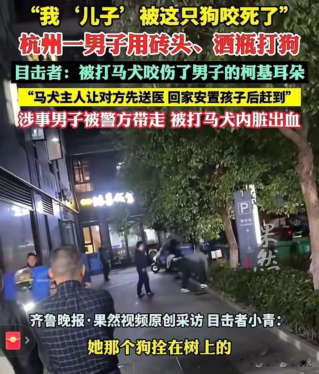 不懂人事的狗，你让人情可以堪？最近又一个新闻热了友友的眼球。“一只狗主人”的儿