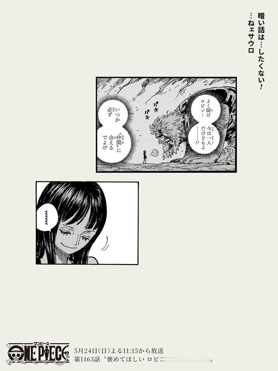 海贼王海贼王就在明日