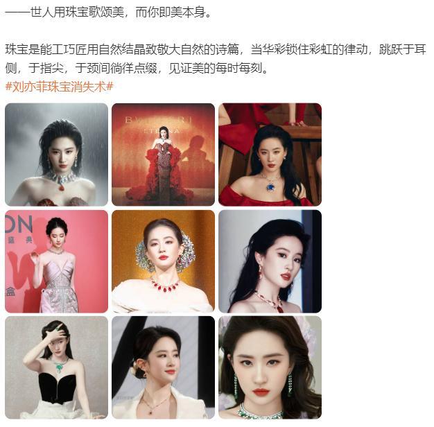 AI的总结好会写啊......珠宝作为工匠致敬自然的结晶，终究是外在点缀。而刘亦