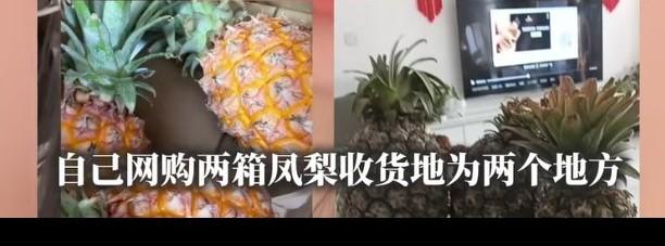 女子网购两箱凤梨两个地址，打开一看气笑了，自己家北京的收到的货比较成熟饱满，
