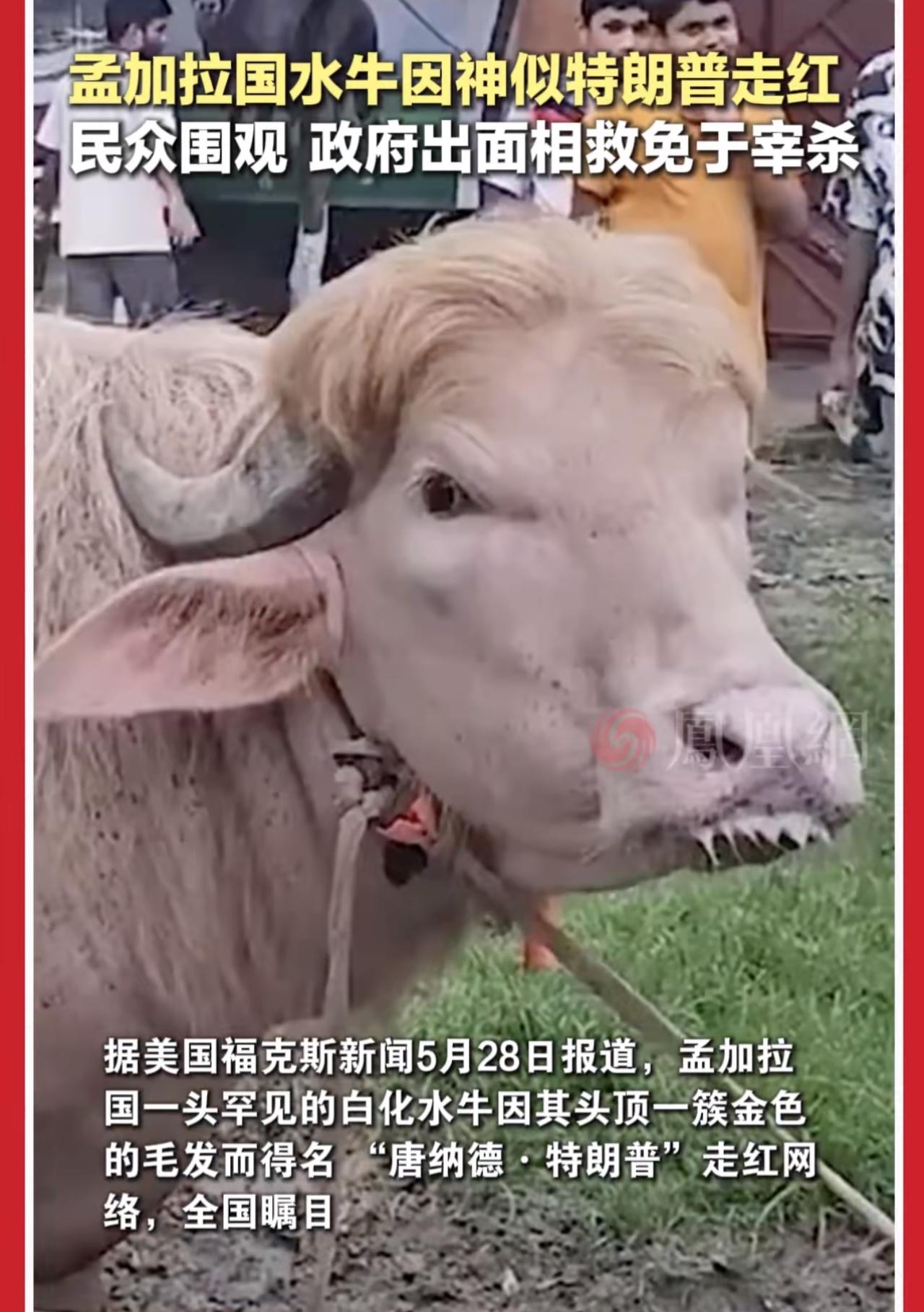 真有点相似的😅😅