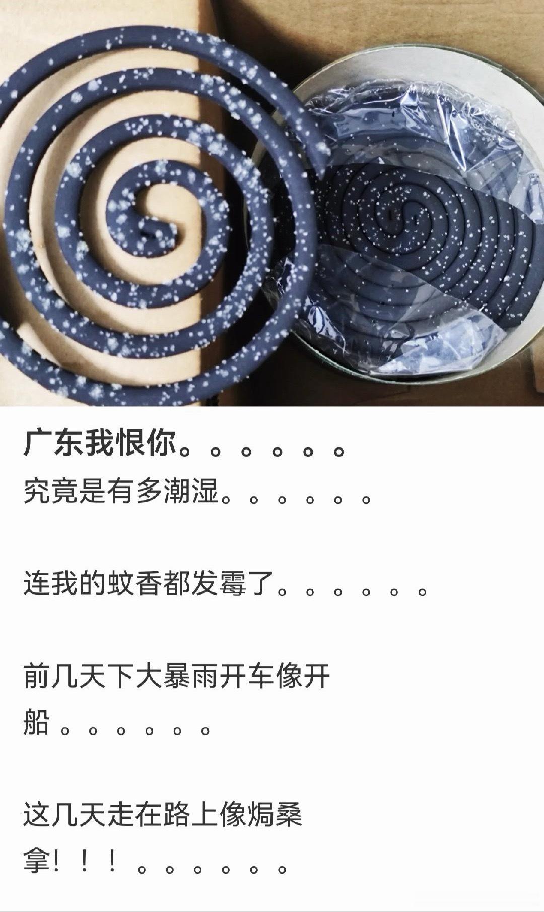 花蚊香专克花蚊子