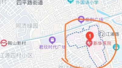 对已收治3名甘肃铅异常儿童的上海新华医院予以口头表扬！向新华医院的颜崇淮教授致敬