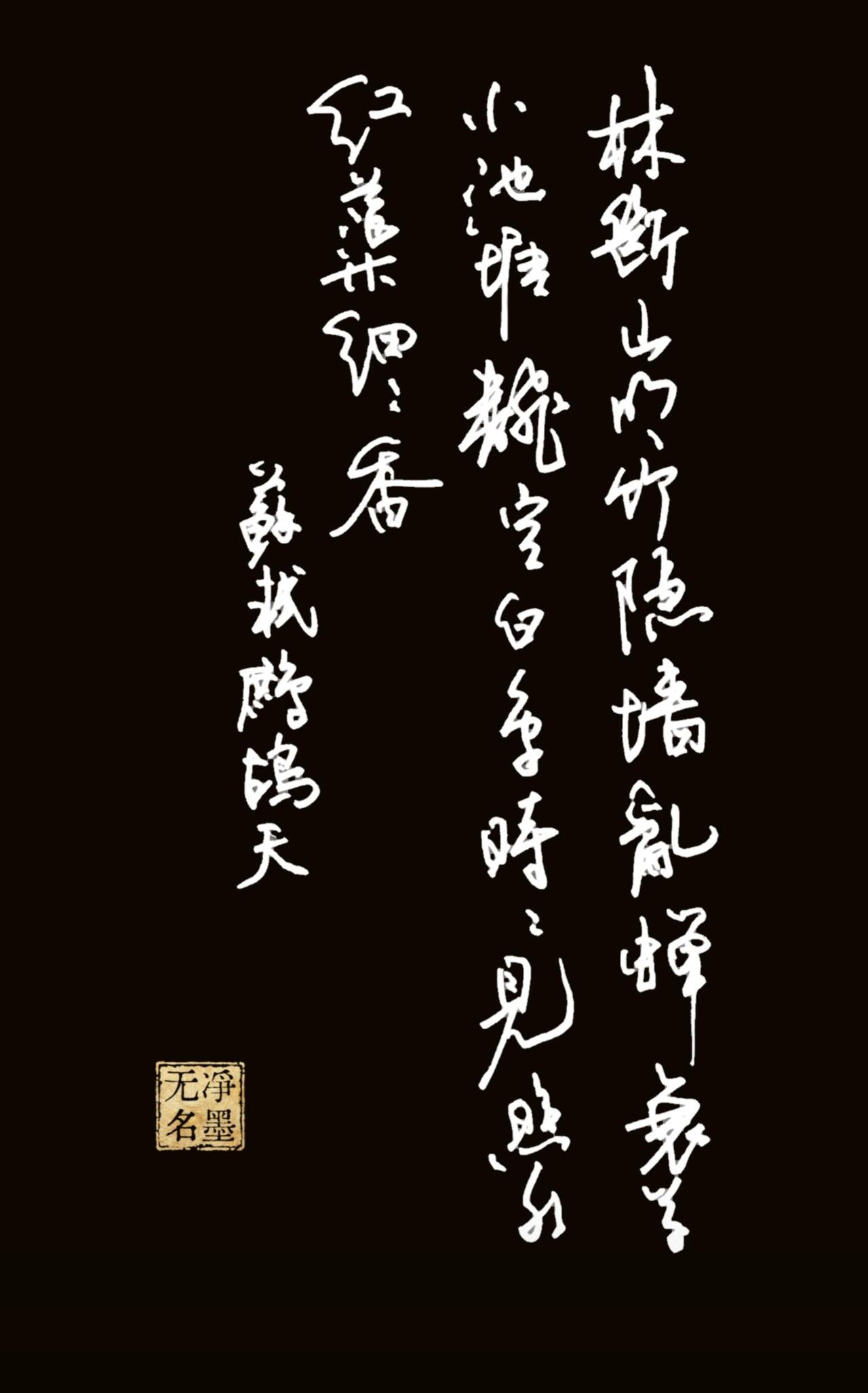 书友写了苏轼的鹧鸪天，也按捺不住了。硬笔草书简评优点行草连贯自然，牵丝呼应