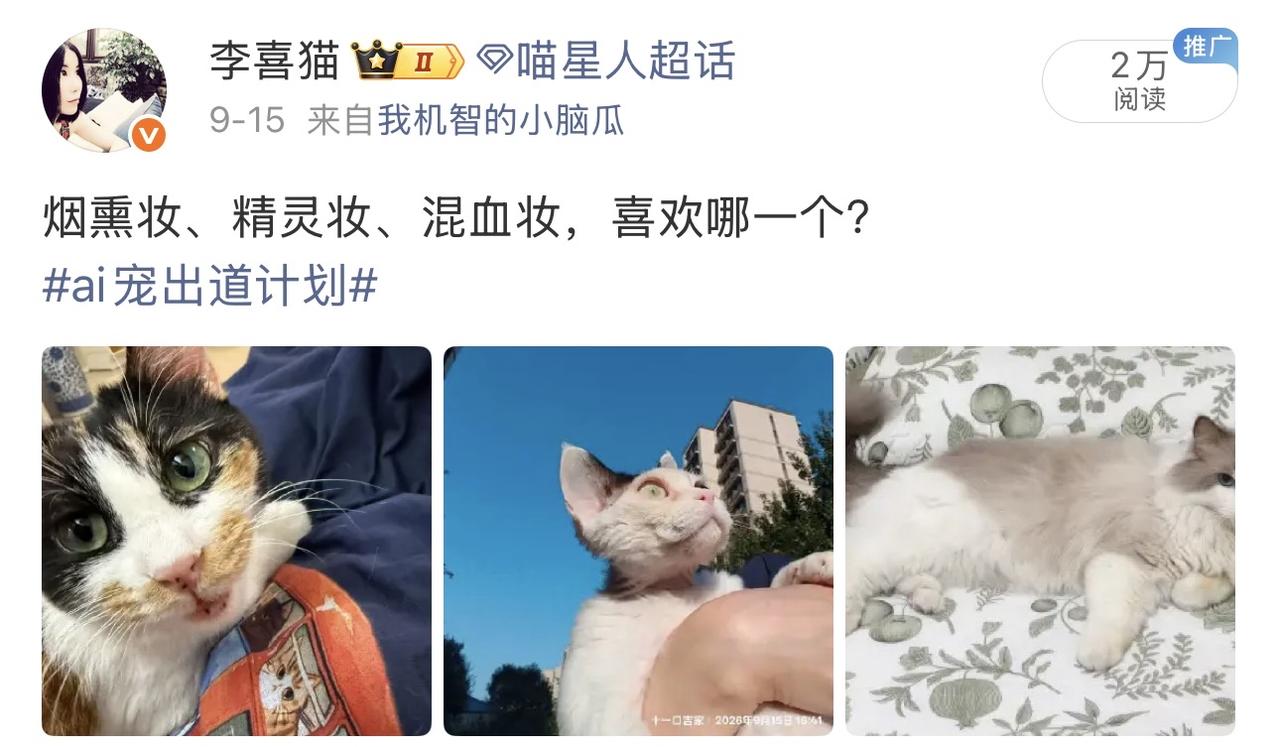 这届网友太有才～