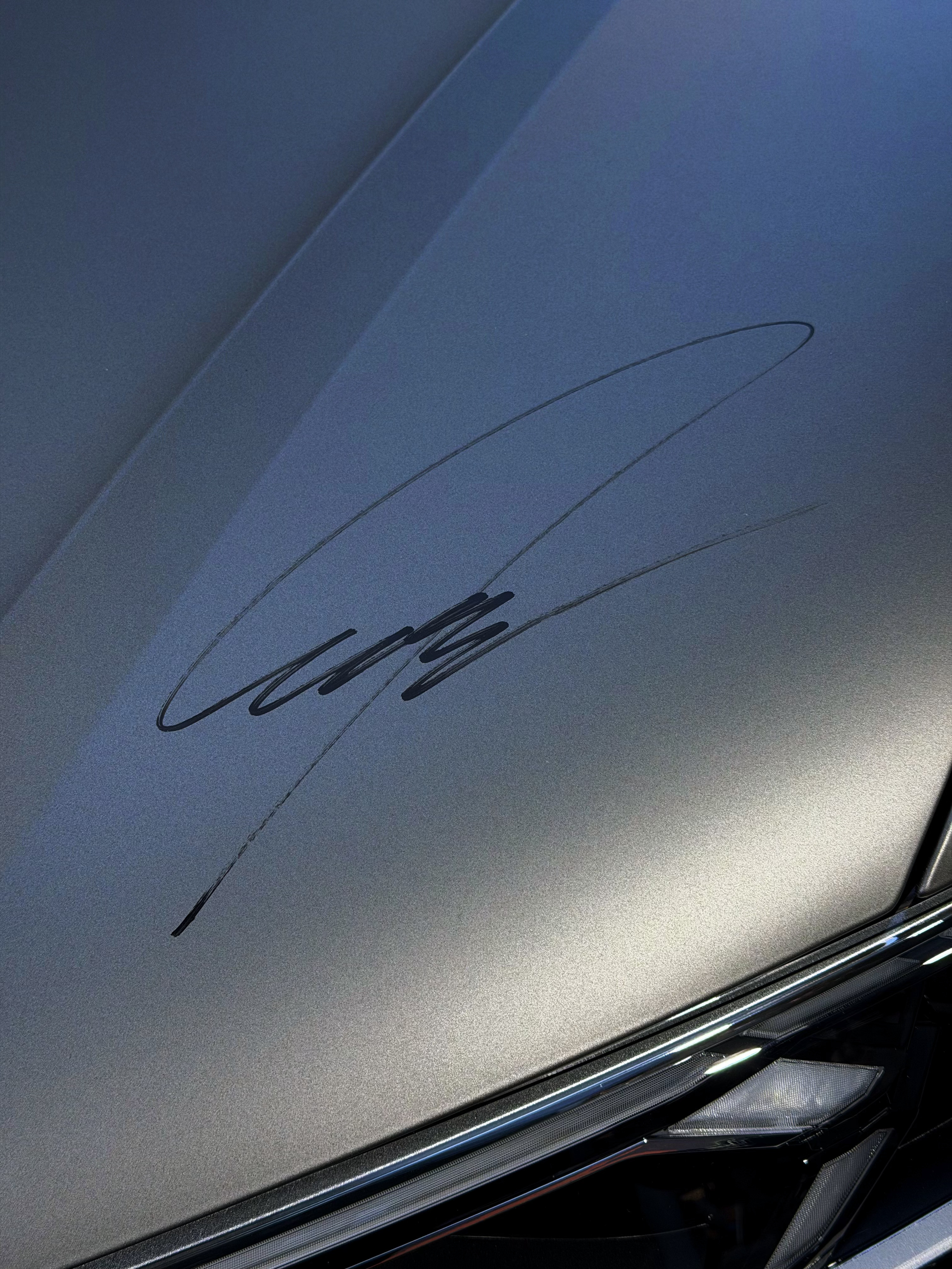 霍肯博格的亲签搞到了，可惜车不是我的汽场全开