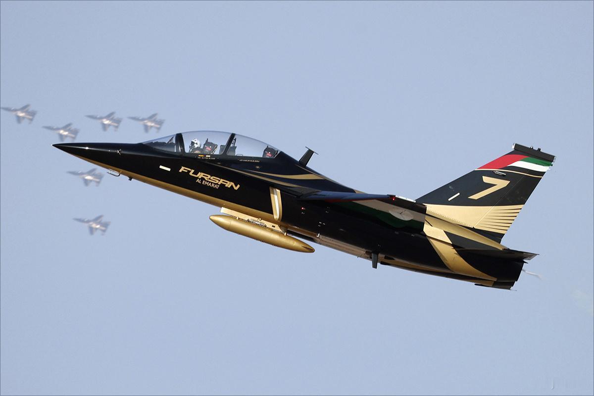 出口后颜值就是不一样，L-15“超级小黄蜂”黄金版，阿联酋空军骑士飞行表演队已经