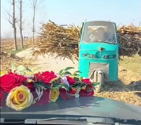 12月6日，山东济南，一电动三轮车偶遇婚礼车队，男子的三轮车装了满满一车玉米秆，