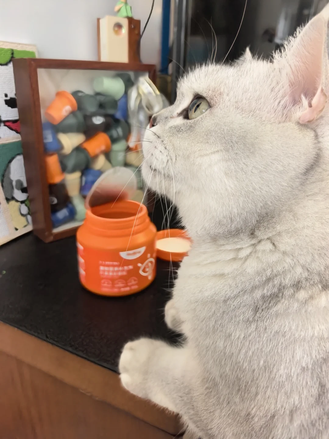 求求了！泪痕重的猫咪一定要试试这个😭