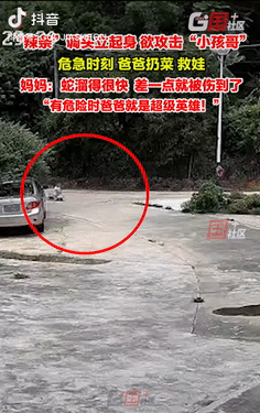 太惊险了！广东惠州，一男孩骑扭扭车在路上玩耍时，面前突然来了一条蛇，紧接着蛇就立