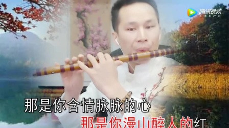 又见山里红笛子简谱_又见山里红简谱