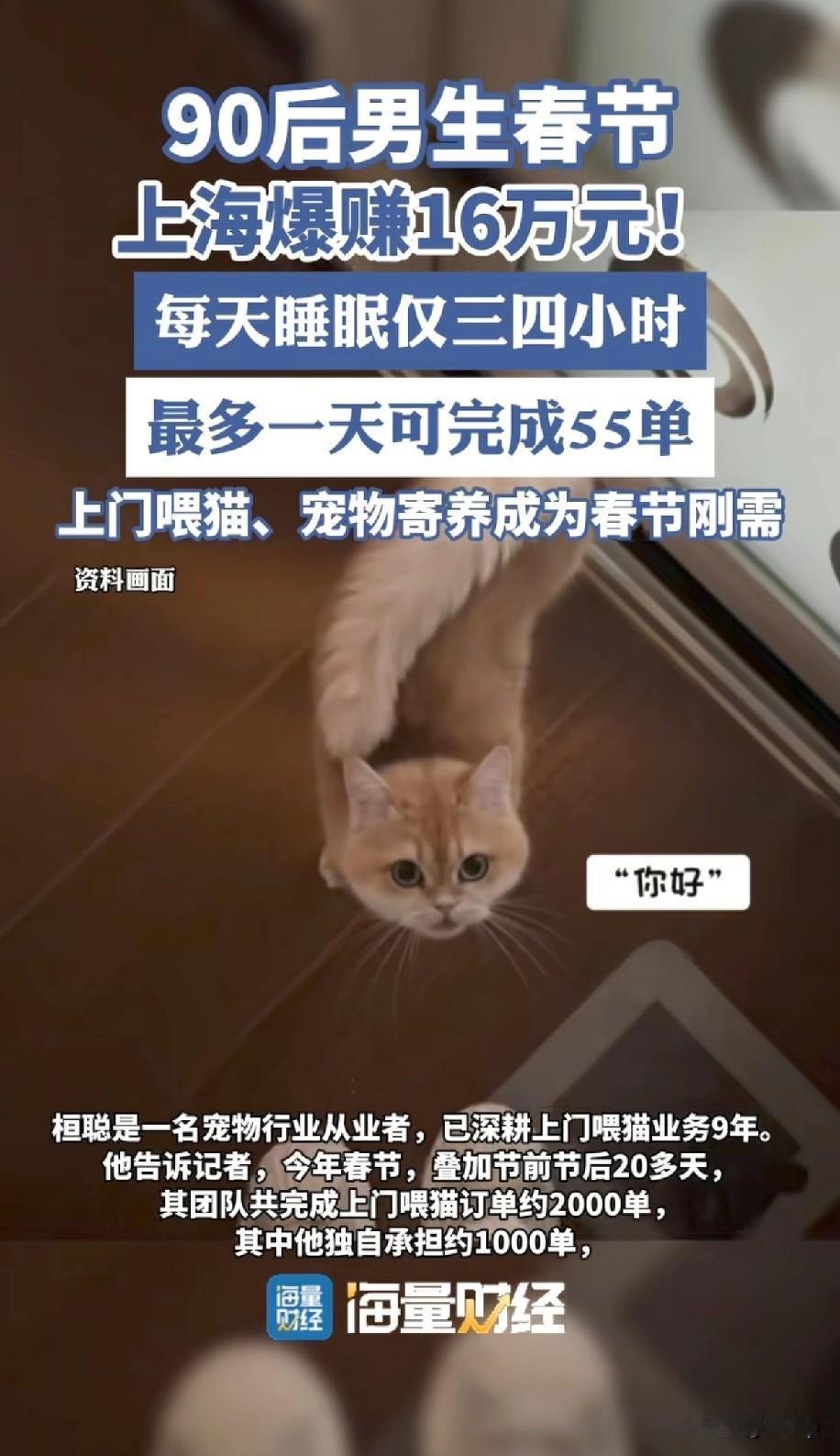 上海90后男生春节期间上门喂猫20天左右的时间赚16万春节期间返乡过年，不少