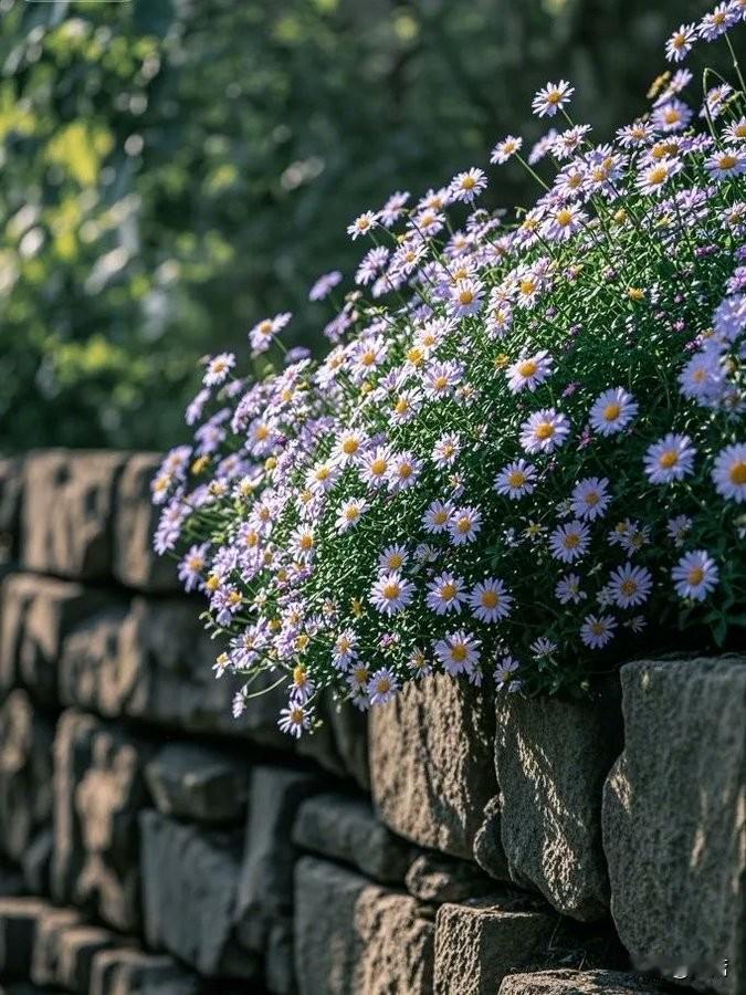 普通人炒股悟道的六个阶段:1，赌徒阶段，必然大亏2，技术阶段，继续亏3，系