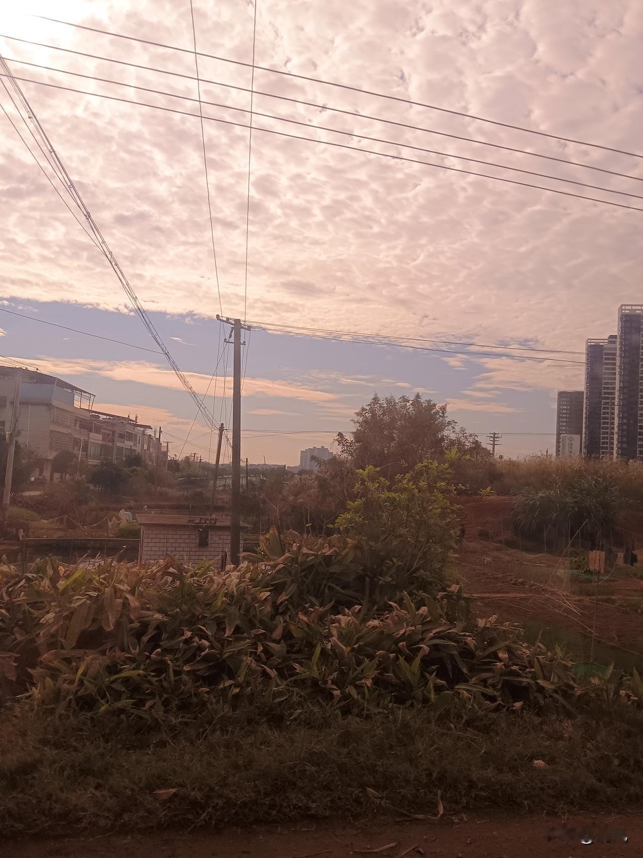 忙忙碌碌，只为心安每天迎着晨光出门，踏着夜色归家，日子在起早贪黑里重复，脚