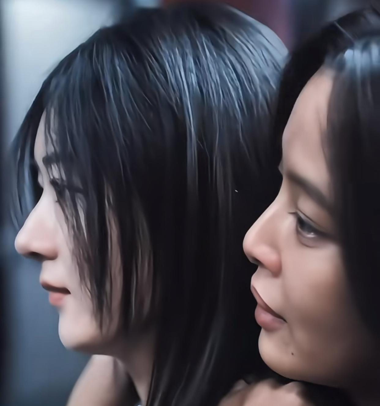 这么看鼻子对一个美女来说太重要了，赵丽颖和辛芷蕾，在影片里她俩是一对儿姊妹。