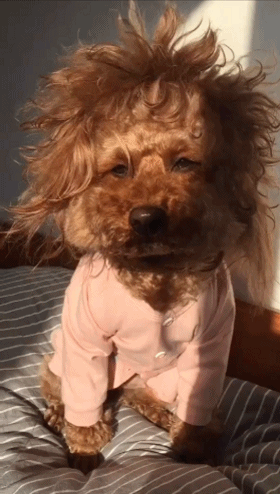 [捂脸哭][捂脸哭][捂脸哭]哈哈哈，干服务行业真的是拿着命在干。晚上处理一个售后