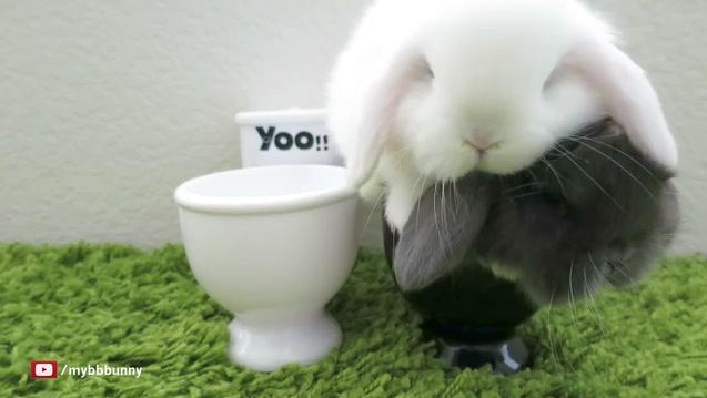 10334717035389888621.jpg?id=0