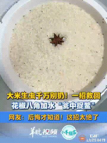 这名女子真是太聪明了！河南郑州一名女子家里的大米生虫了，家人本来想把大米扔掉，但