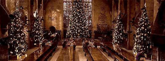 魔法世界的圣诞节来了！祝各位巫师节日快乐。在1992年的圣诞赫敏的复方汤剂制作完