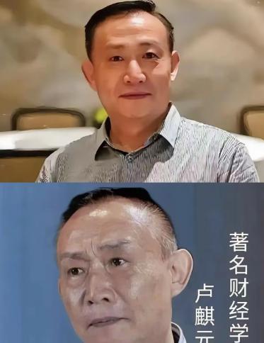 非常令人胆寒的一段话：近来金融圈有些人谈及卢麒元，居然异口同声抛出四个字：“脑