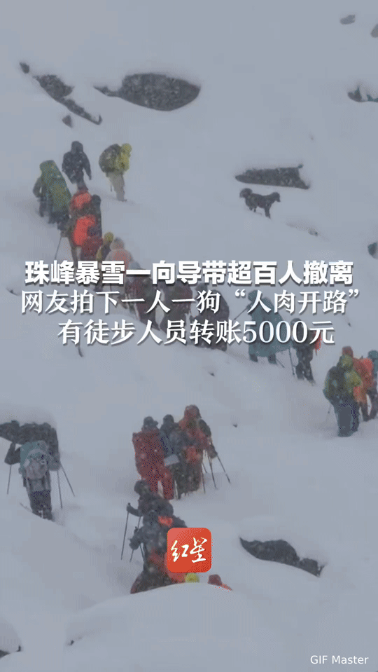 “一人一狗‘人肉开路’！珠峰暴雪里，他带超百人走出绝境”珠峰暴雪封山，齐腰