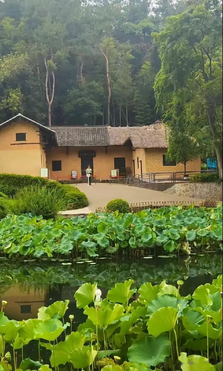 不懂就问：这是什么地方啊？怎么这处农村里的屋子，还会有武警战士站岗呢？