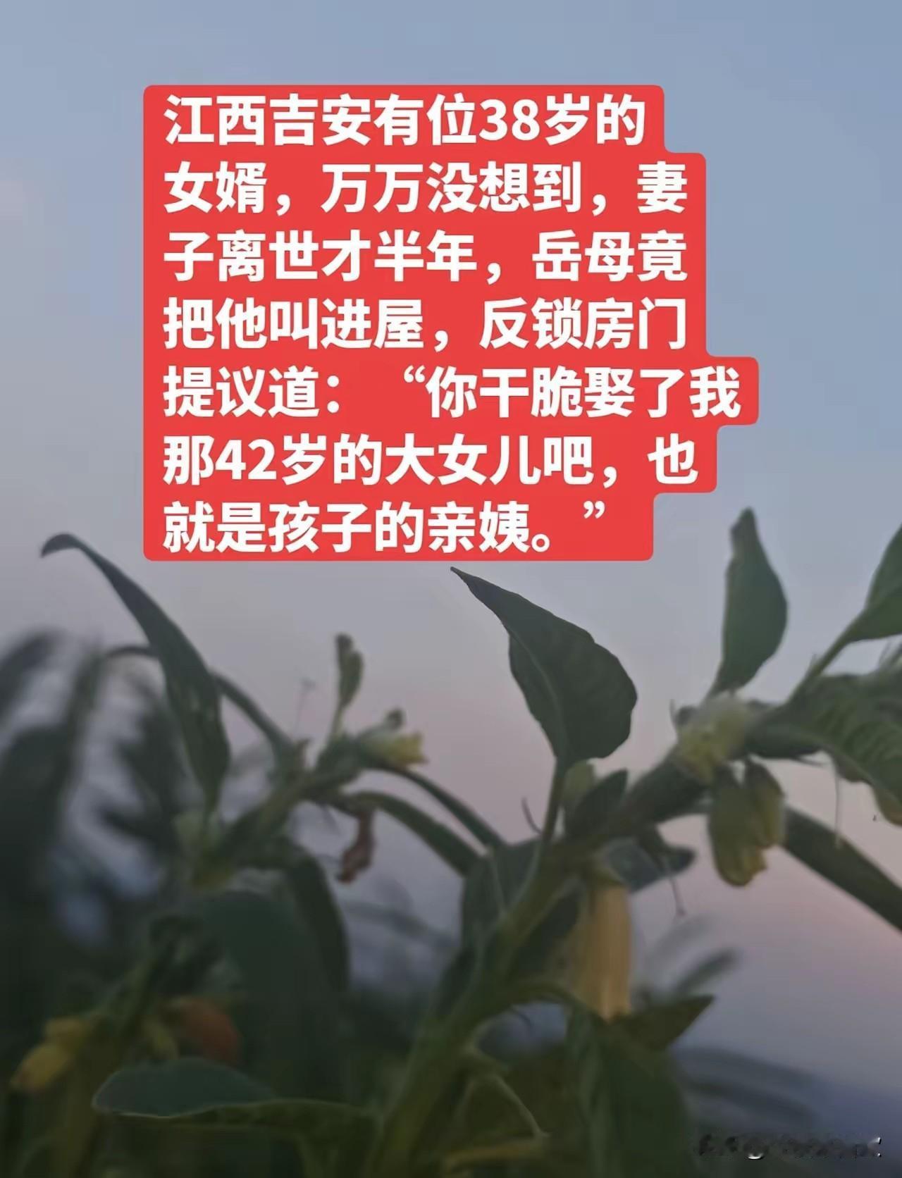 妻子离世仅半年，岳母反锁房门提大胆请求：娶我42岁大女儿，做孩子亲妈江西吉