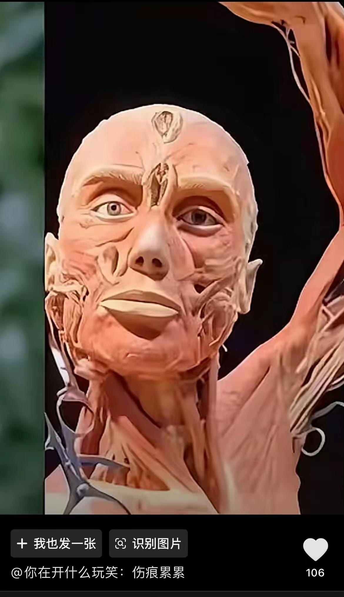 网友说陈坤被换了，好几个版本了，一开始我觉得不可能，翻过评论区竟然也怀疑起来