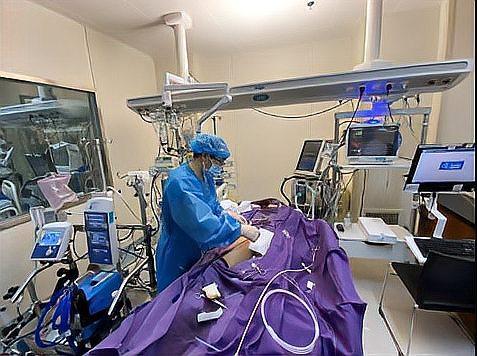 紧急！儿科已现甲流危重症，13岁娃烧出“白肺”要靠ECMO救命！家长必看5个生死