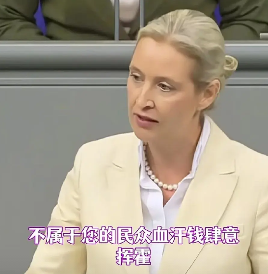 魏德尔终于揪住了墨茨错处，墨茨恐遭德民抗议，清算才刚刚开始！一味损害国民利益后