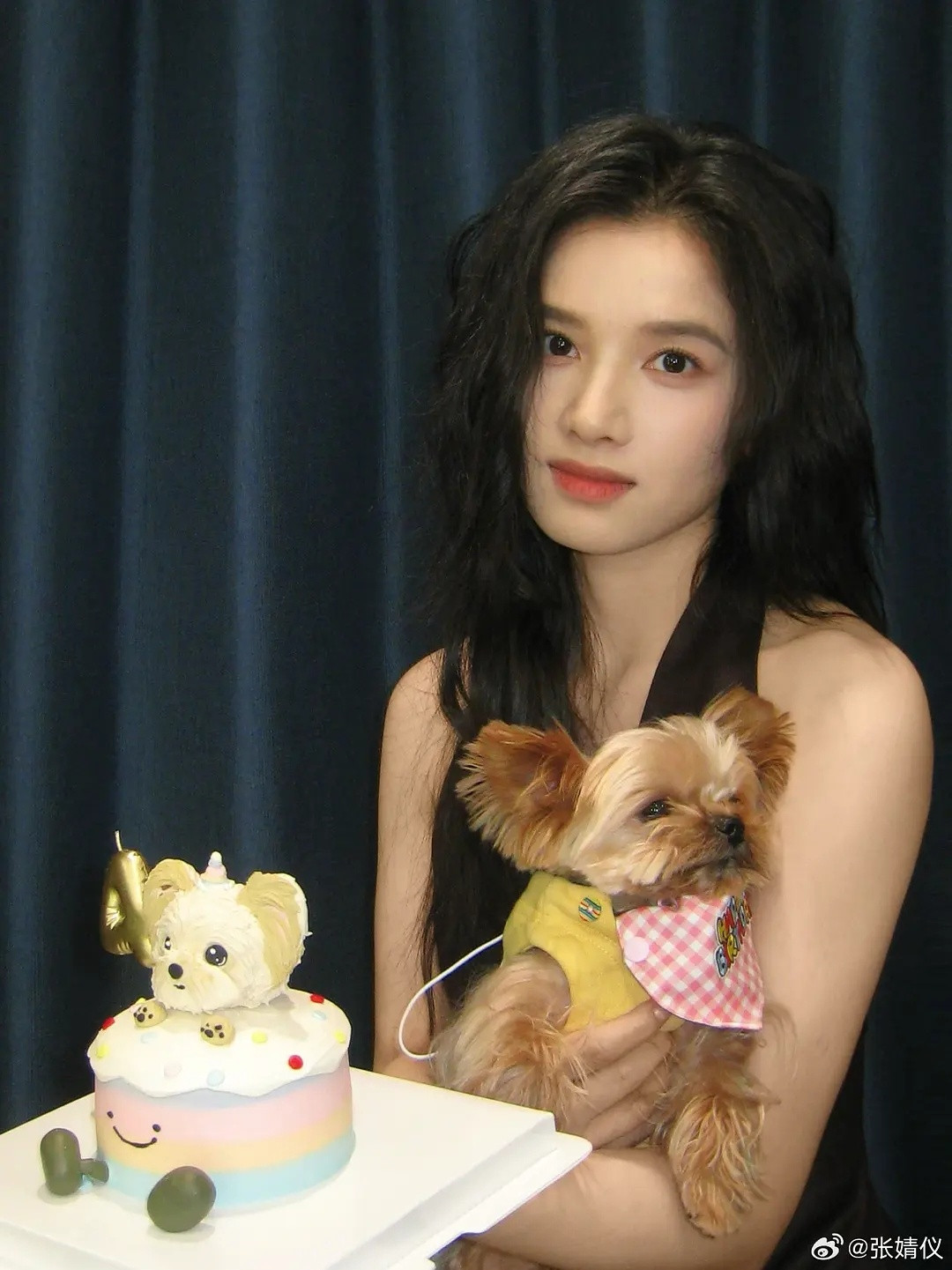 张婧仪这个蛋糕做的真的好逼真啊，非常绝美