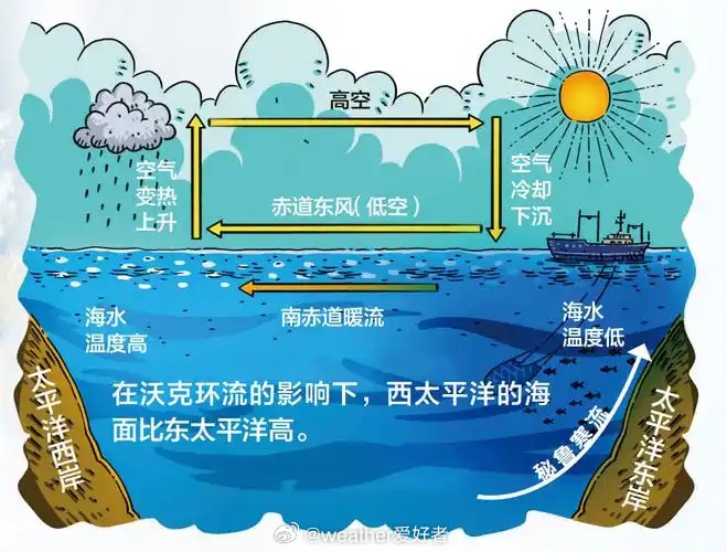 【厄尔尼诺现象】美国国家海洋和大气管理局（NOAA）11日宣布，热带太平洋已形成
