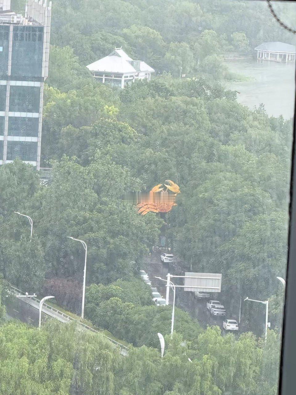 武汉大雨下了个大螃蟹琴台江汉桥下哪有个这大螃蟹谁知道咋回事