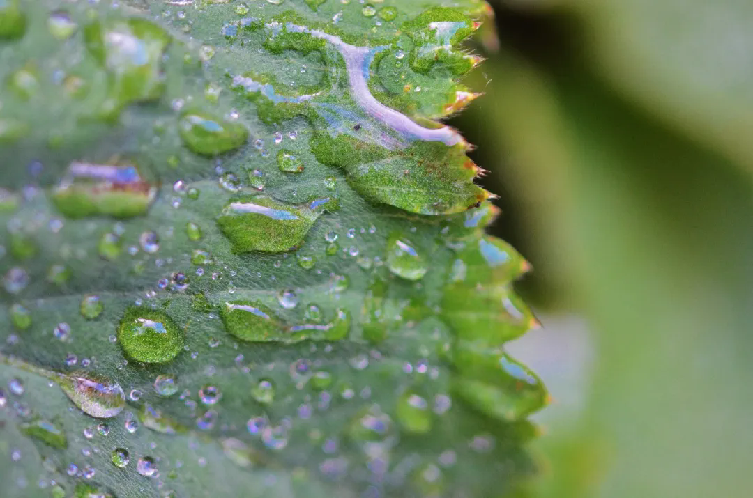 暴雨、大暴雨上线! 辽宁连发强对流、高温预警!