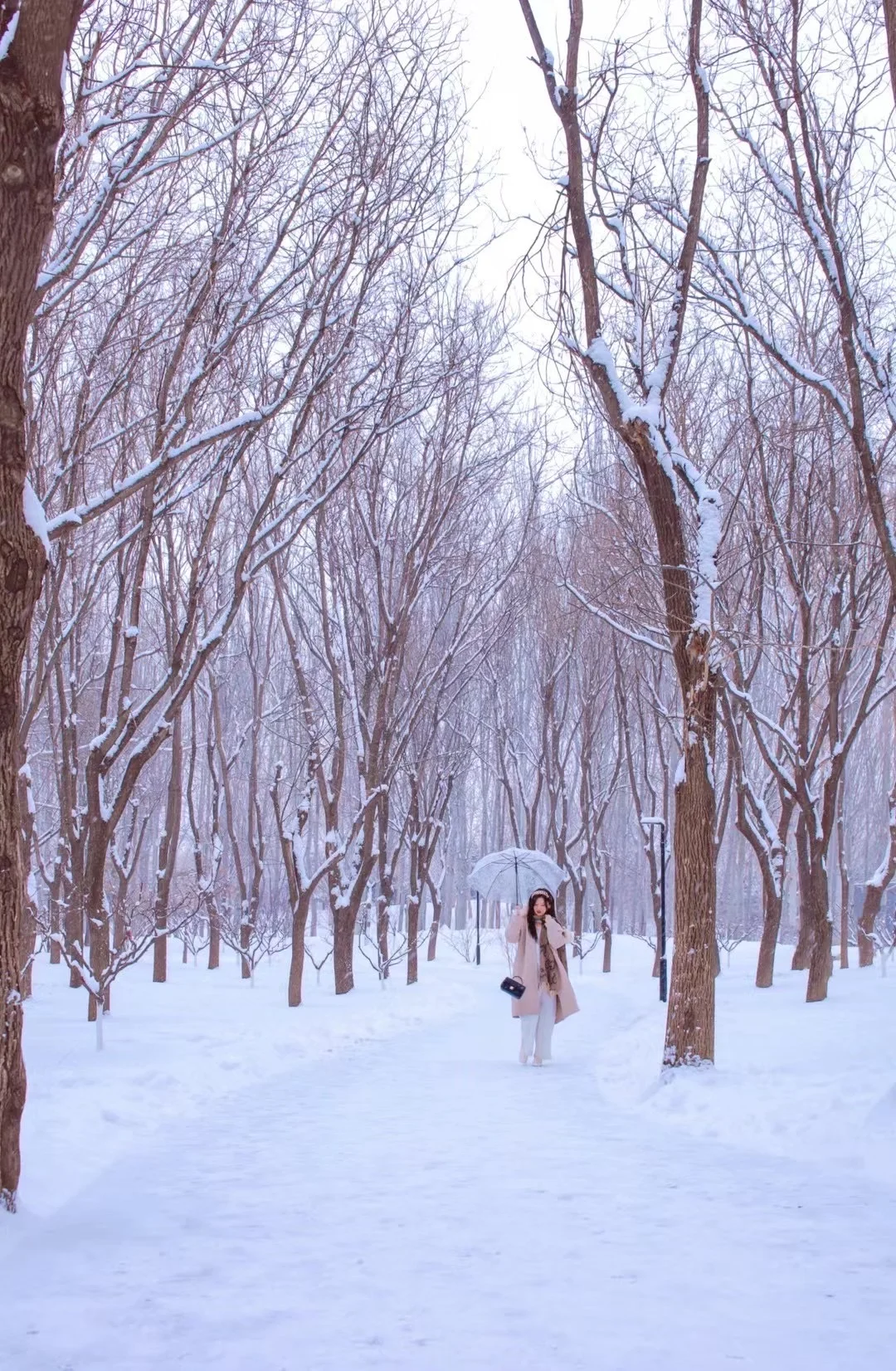 北京初雪❄️这么美不要命了！！