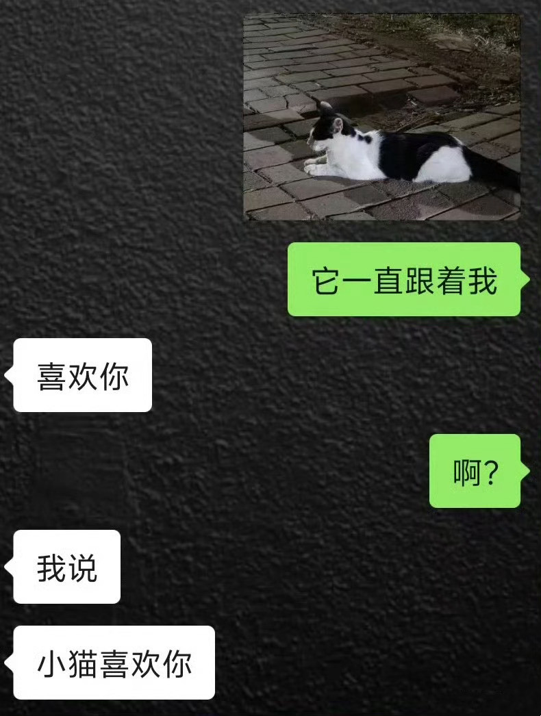 啊啊啊啊啊该怎么回复crush！！！