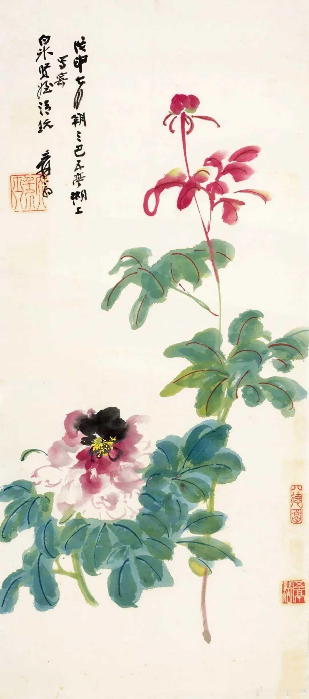 张大千《丰姿图》，设色纸本画心99×43.5cm。本件张大千笔下的没骨芍药，