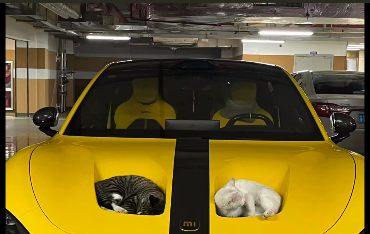 SU7Ultra挖孔版成了小猫咪的家了[doge]还真是“小咪之家”​​​