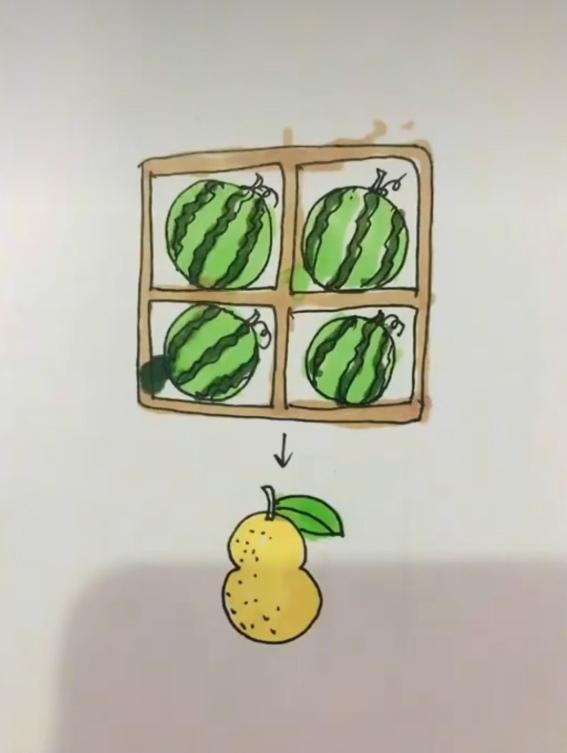 〔看图猜成语〕图中就有两幅画；田字格里西瓜装；下方还有一个梨🍐；猜个成