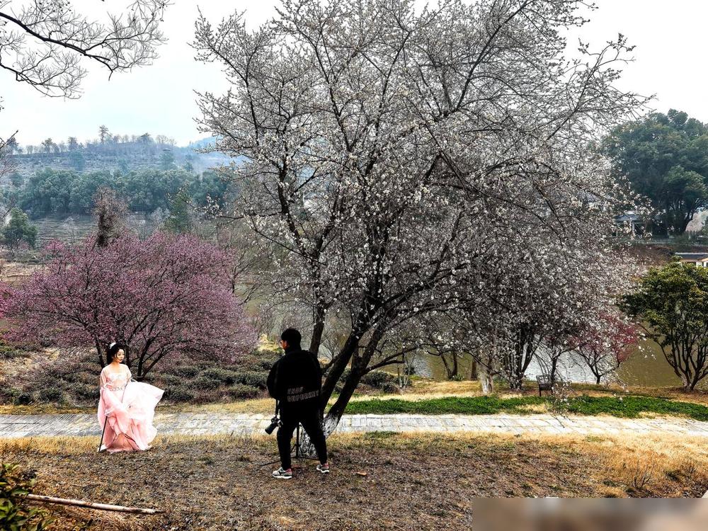 深耕心理学多年，他发现人性只剩阴、蠢、坏。一个阅人无数的顶级心理专家选择闭嘴