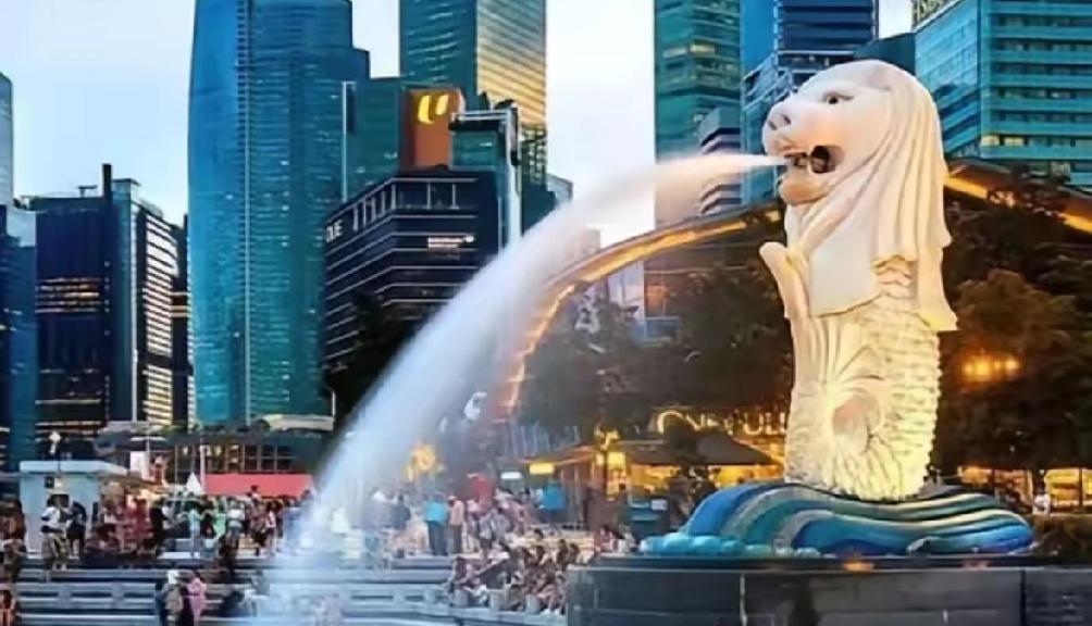 新加坡一定要大度呀，不能中国做初一，你就做十五。​海南封关第一天，你中转量掉了