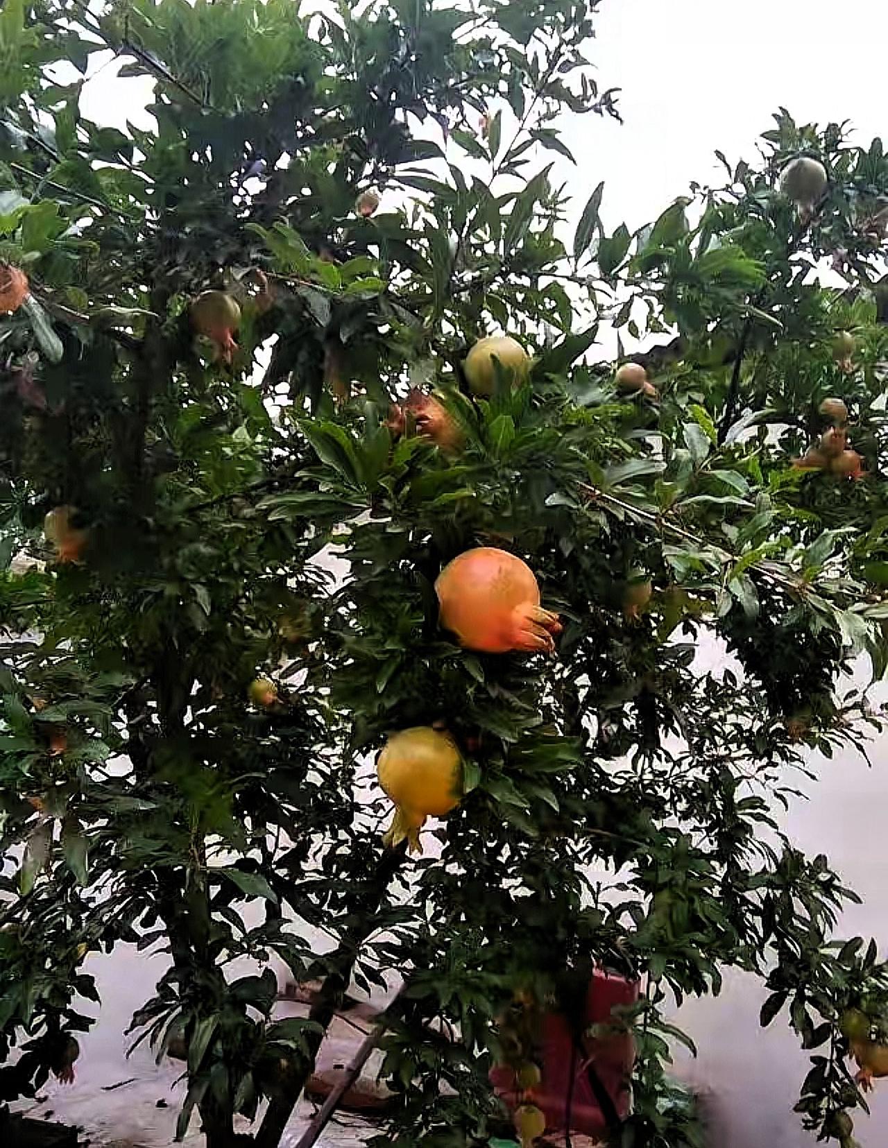 67岁大姐手握30万存款，每月退休金六七千，却把日子过成这样？我是真琢磨不透