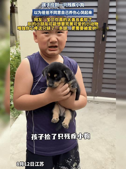 一个小男孩在路上捡到一只残疾小狗，少了一条腿，走路一瘸一拐的。他抱回家，蹲在门口