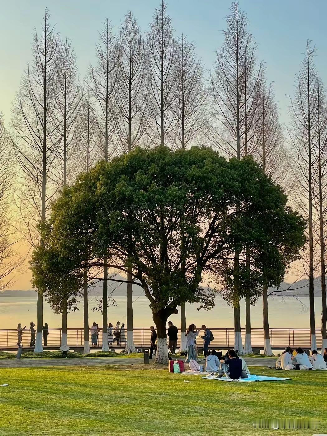 炒股最大的“底气”！朋友告诉我，他炒股，从来不慌张，每时每刻都能从容应对！因为