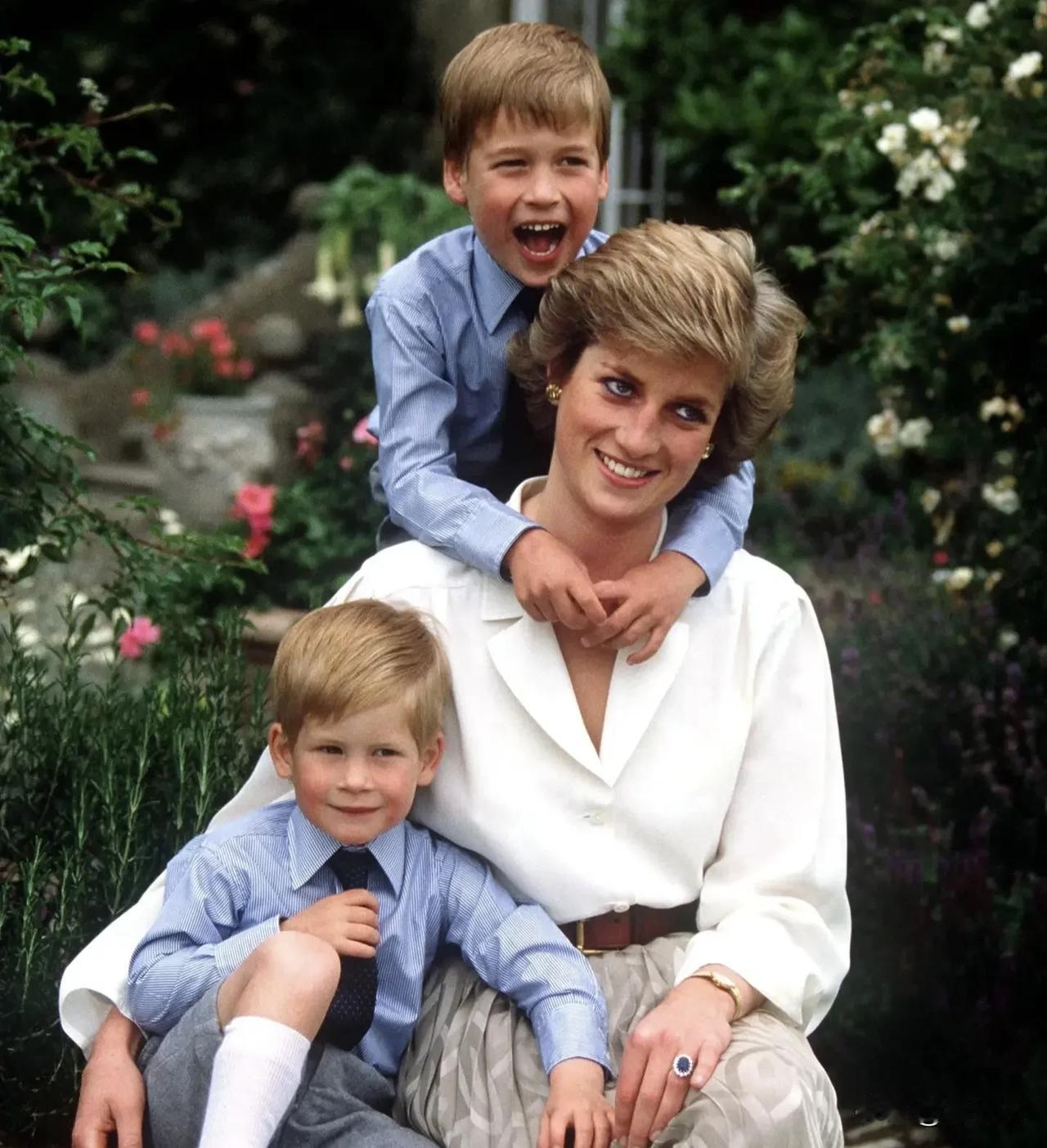 真实的戴安娜是怎样不好说，但是看唐顿记住了老夫人的一句话:贵族的婚姻是不能不幸福